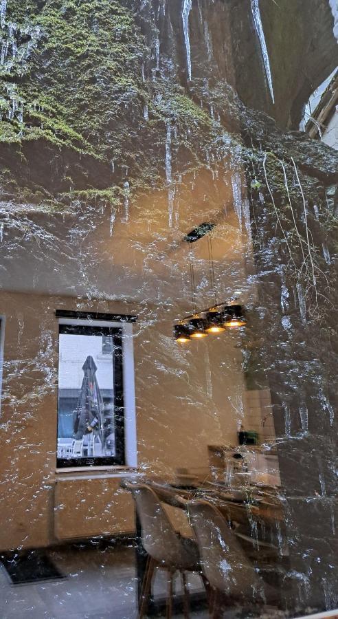Gite Chez Nenene La Roche En Ardenneアパートメント エクステリア 写真